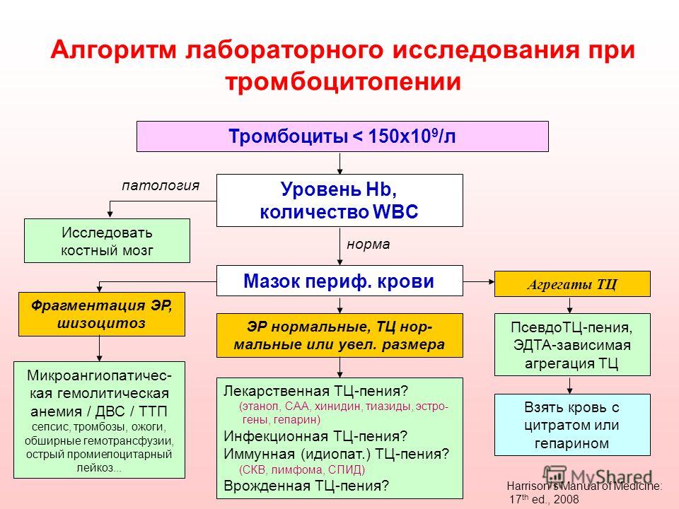 Алгоритм лабораторной работы